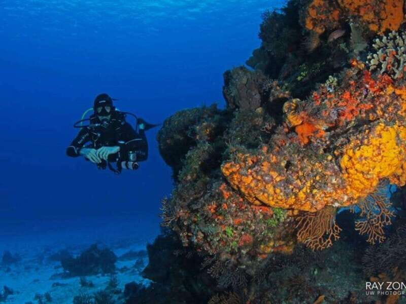 Cozumel: 6 Days Yoga, Sound Healing, and Dive Retreat - The Experience in Detail