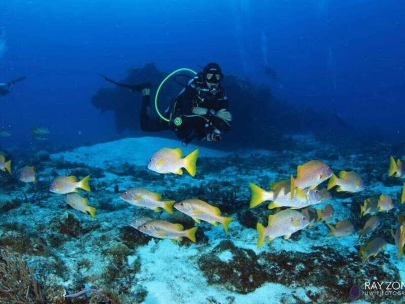 Cozumel: 6 Days Yoga, Sound Healing, and Dive Retreat - Final Thoughts