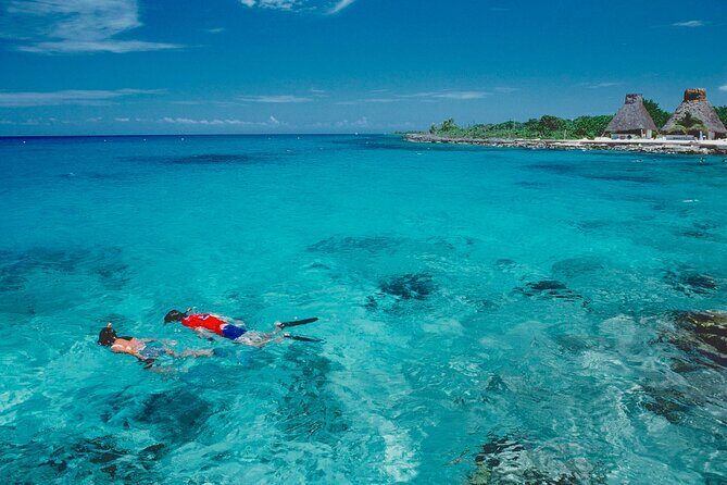 Cozumel Adventure! 2 hours Snorkel + Round Transportation from Cancun - The Sum Up