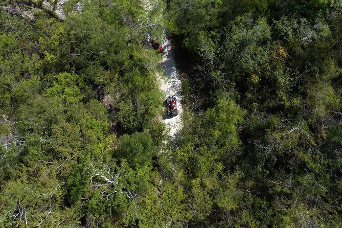 Cozumel ATV Jungle Small Group Guided Ride - Introduction