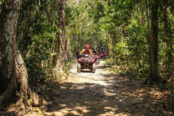 Cozumel ATV Tour & Beach Break - The Sum Up: Is It Worth It?