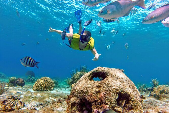 Cozumel by transparent boat and snorkeling in the sky with lunch. - A Complete Look at the Experience