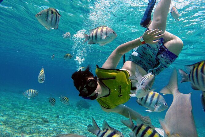 Cozumel by transparent boat and snorkeling in the sky with lunch. - Who Would Love This Tour?