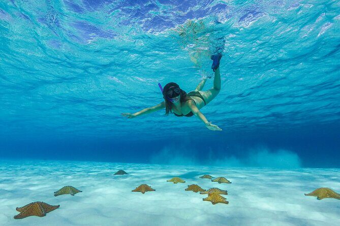 Cozumel Catamaran Snorkel Tour: El Cielo & Palancar with lunch - The Itinerary in Detail: What to Expect