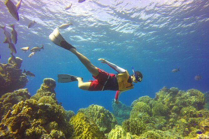 Cozumel Catamaran Snorkel Tour: El Cielo & Palancar with lunch - The Experience: Authentic, Fun, but With Caveats