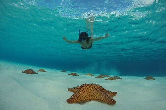Cozumel Catamaran Snorkel Tour: El Cielo & Palancar with lunch - FAQs