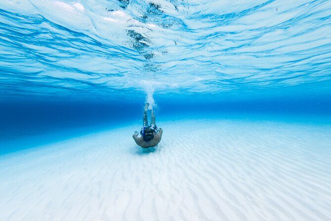 Cozumel Catamaran Snorkeling Tour & lunch® - An In-Depth Look at the Tour Itinerary