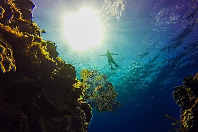 Cozumel Catamaran Snorkeling Tour & Lunch (Hotel Pick Up) - Transportation and Timing: A Look at the Logistics