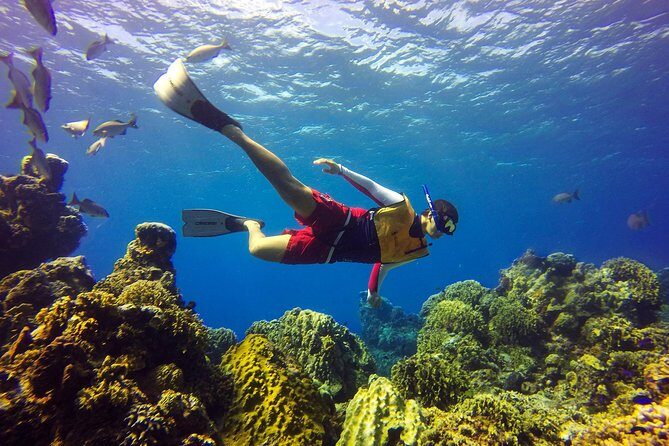 Cozumel Catamaran Snorkeling Tour & Lunch (Hotel Pick Up) - Final Thoughts: Is It Worth It?