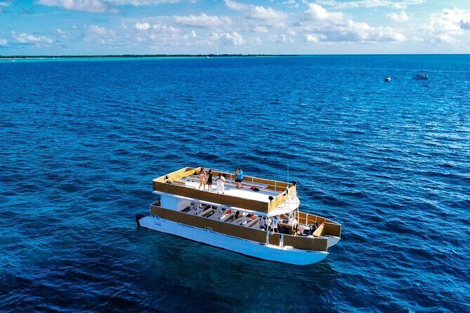 Cozumel Catamaran Tour: Snorkel at Top Reefs & Open Bar - Authentic Experiences & Real Feedback