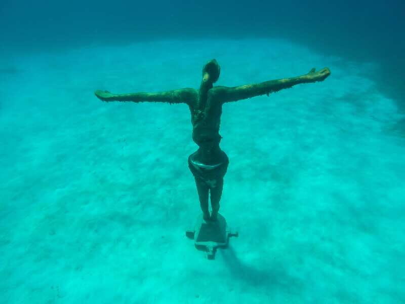 Cozumel: Chankanaab Park Admission+ Snorkel+ Welcome drink - Key Points