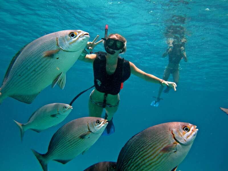 Cozumel: Chankanaab Park Admission+ Snorkel+ Welcome drink - Practical Details to Know Before You Go