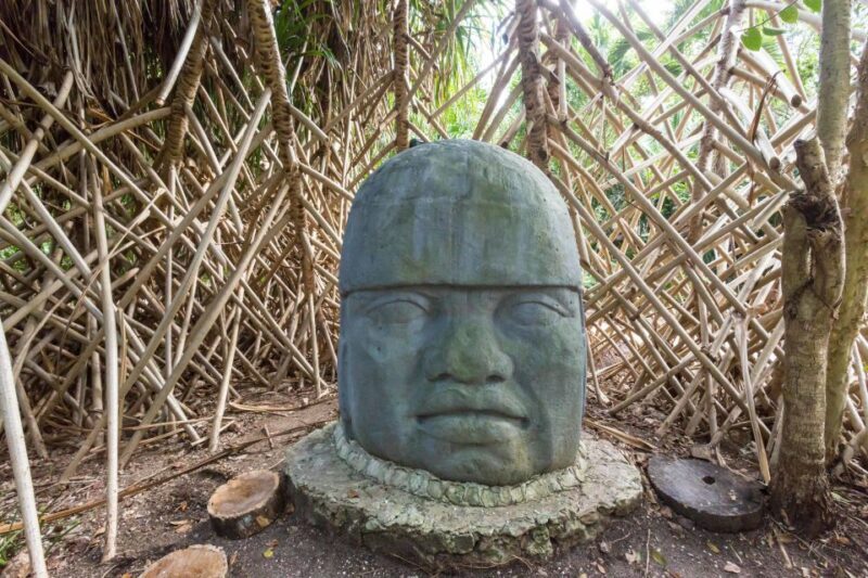 Cozumel: Chankanaab Park Admission+ Snorkel+ Welcome drink - The Sum Up
