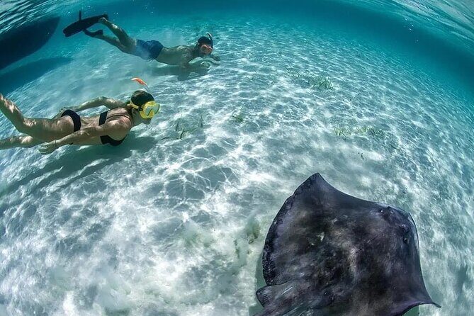 Cozumel Cielo Snorkel Adventure from Cancun and Rivera Maya - The Sum Up