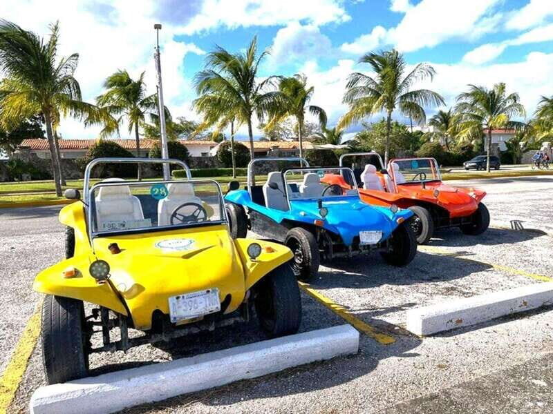 Cozumel: Classic Jeep or Buggy Island Tour to Punta Sur - Key Points