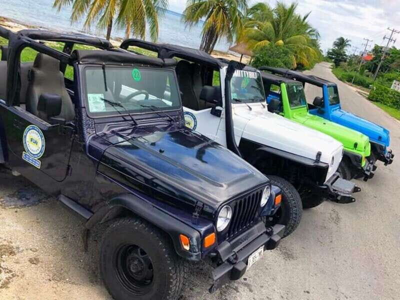 Cozumel: Classic Jeep or Buggy Island Tour to Punta Sur - A Closer Look at the Tour Itinerary
