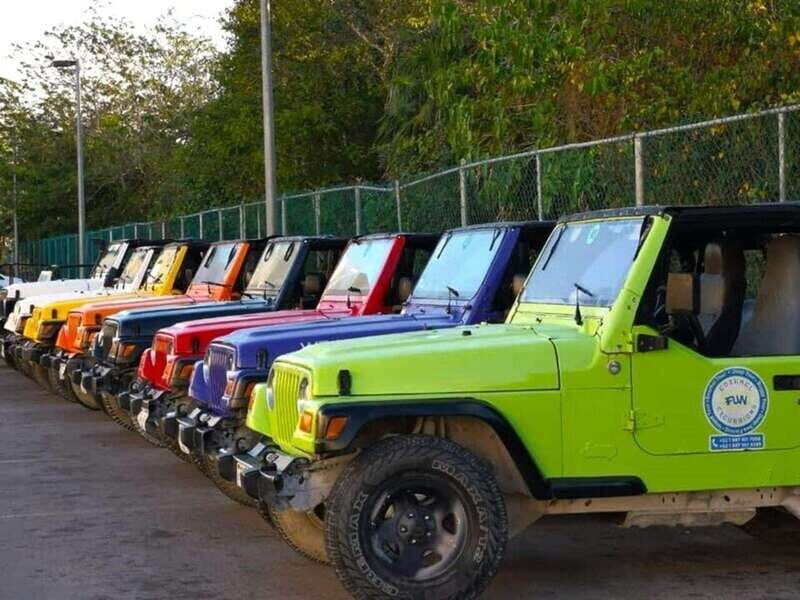 Cozumel: Classic Jeep or Buggy Island Tour to Punta Sur - The Real Experience: What Travelers Say