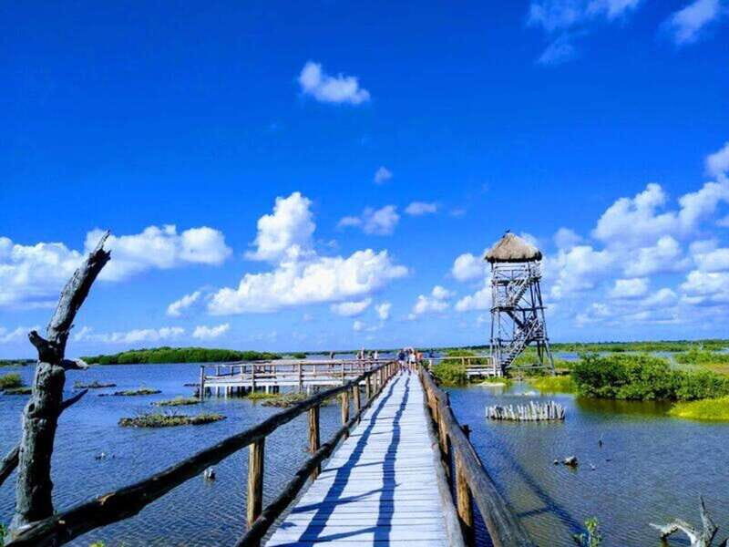 Cozumel: Classic Jeep or Buggy Island Tour to Punta Sur - Analyzing the Value