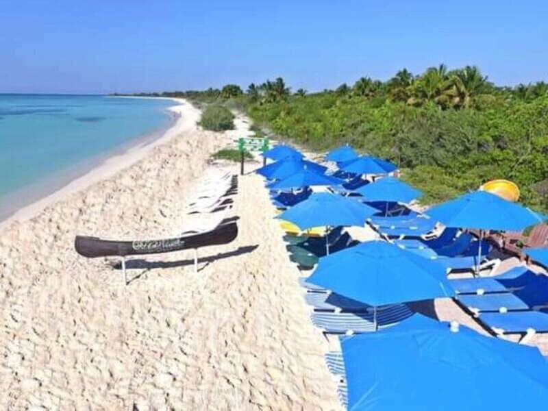 Cozumel: Classic Jeep or Buggy Island Tour to Punta Sur - Practical Considerations