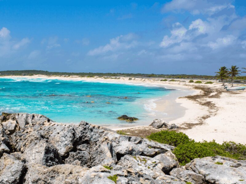 Cozumel: Classic Jeep or Buggy Island Tour to Punta Sur - Who Should Book This Tour?