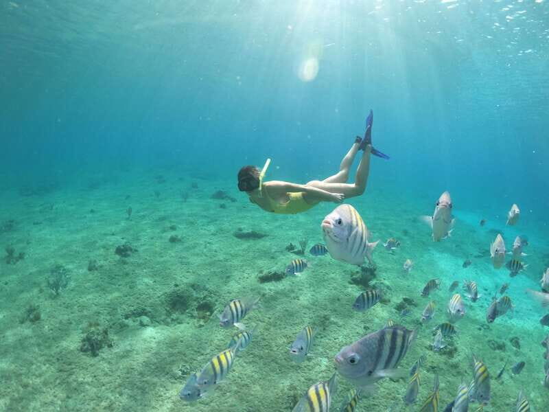 Cozumel: Clear Boat Ride and Snorkeling Trip - Who Will Enjoy This Trip?