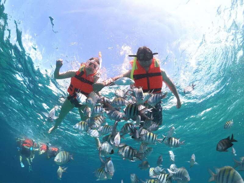 Cozumel: Clear Boat & Snorkel Tour - Key Points