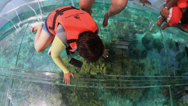 Cozumel: Clear Boat & Snorkel Tour - The Itinerary in Detail