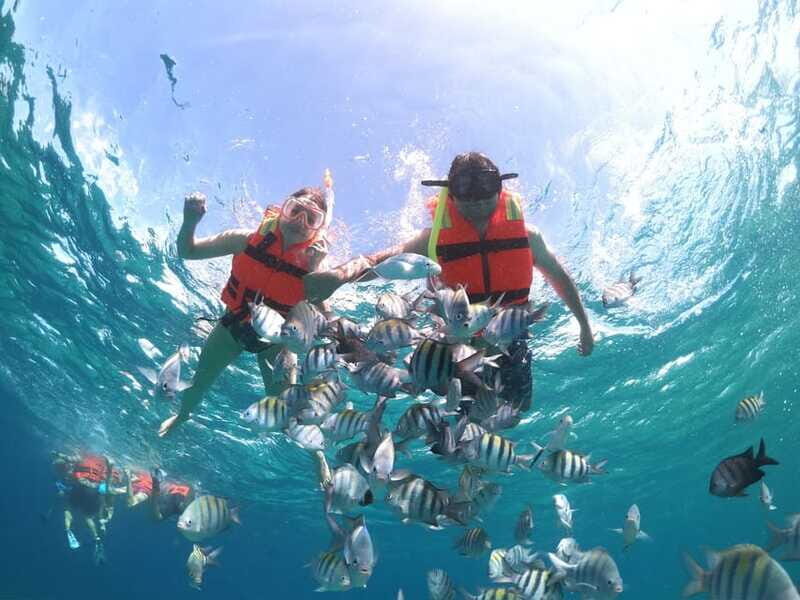Cozumel: Clear Boat & Snorkel Tour - FAQs