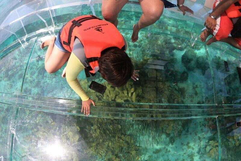 Cozumel: Clearboat in Cozumel + Snorkel + Refreshments!! - Authenticity and Overall Value