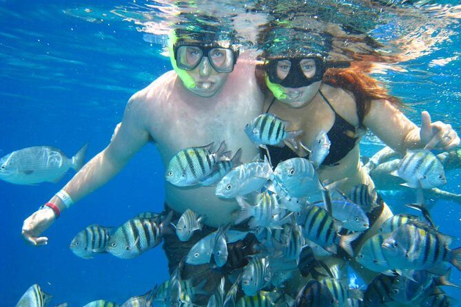 Cozumel Coral Reef Snorkeling by Glass Bottom Boat with Guide - Why This Tour Works Well