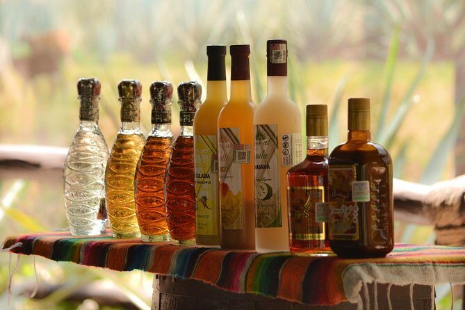 Cozumel Cultural Jeep Tour with Mayan Village and Mexican Lunch - Authenticity and the Guide’s Role