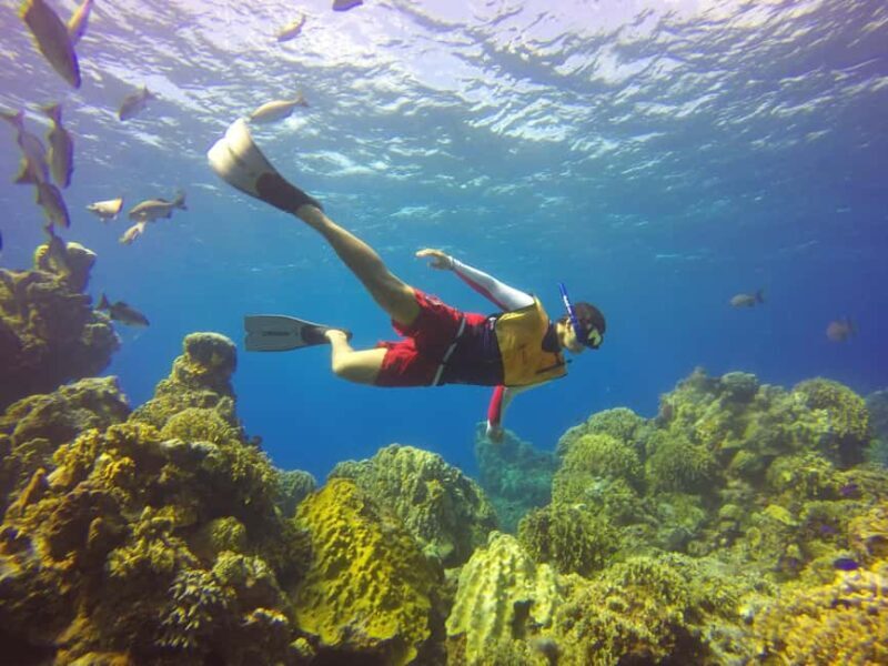 Cozumel: Day at El Cielo Bay - Logistics, Pricing, and Overall Value