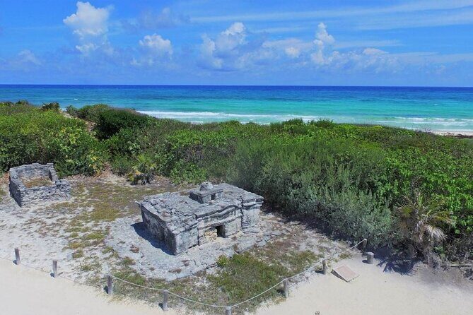 Cozumel: Day in Punta Sur Eco Park and Del Cielo Beach with Snorkeling - Why Choose This Tour?