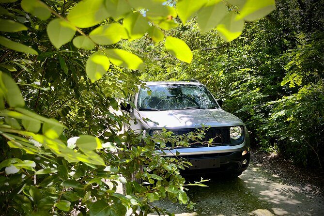 Cozumel: Discover Hidden Gems w/ Private guide - Exploring the Cozumel "Hidden Gems" Tour