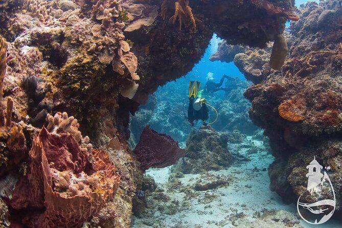 Cozumel: Discover Scuba Diving - What the Tour Offers: A Detailed Breakdown