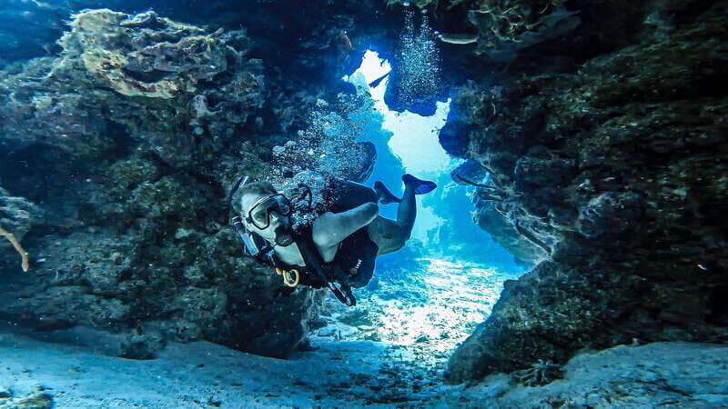 Cozumel: Discover Scuba Diving for Non-Certified Divers - Authentic Marine Encounters and Review Highlights