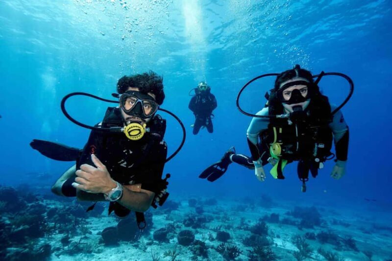 Cozumel: Discovery Scuba Diving. No experience required. - Who Will Love This Experience?