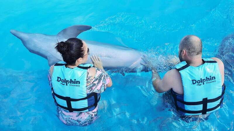 Cozumel: Dolphin Royal Swim and Manatee Interaction - An In-Depth Look at the Experience