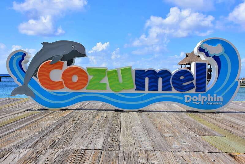 Cozumel: Dolphin Royal Swim and Manatee Interaction - Authentic Experiences from Travelers