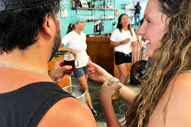 Cozumel Downtown & Brewery - Who Should Consider This Tour?