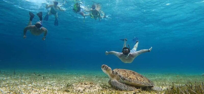 Cozumel, El Cielo: 4-Hour Shared Snorkeling Tour - Final Thoughts: Is It Worth It?