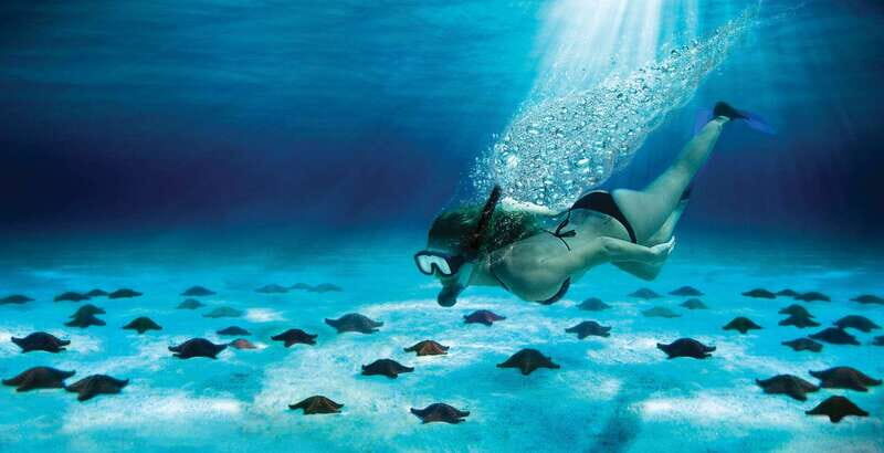Cozumel: El Cielo & Palancar Snorkel with Open Bar & Ceviche - The Value of This Tour