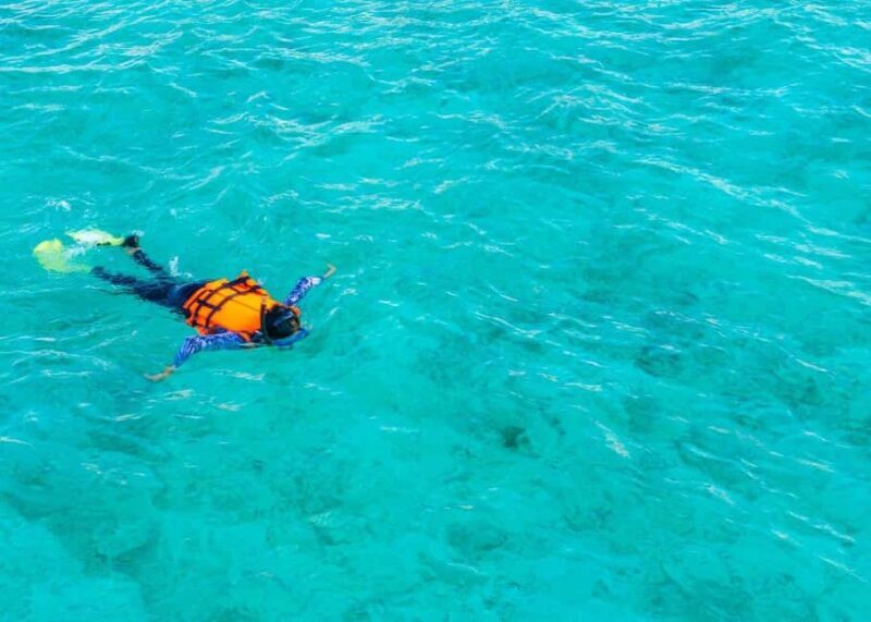 Cozumel: El Cielo & Reef Private Boat Tour with Snacks - Setting the Scene: What to Expect from the Tour