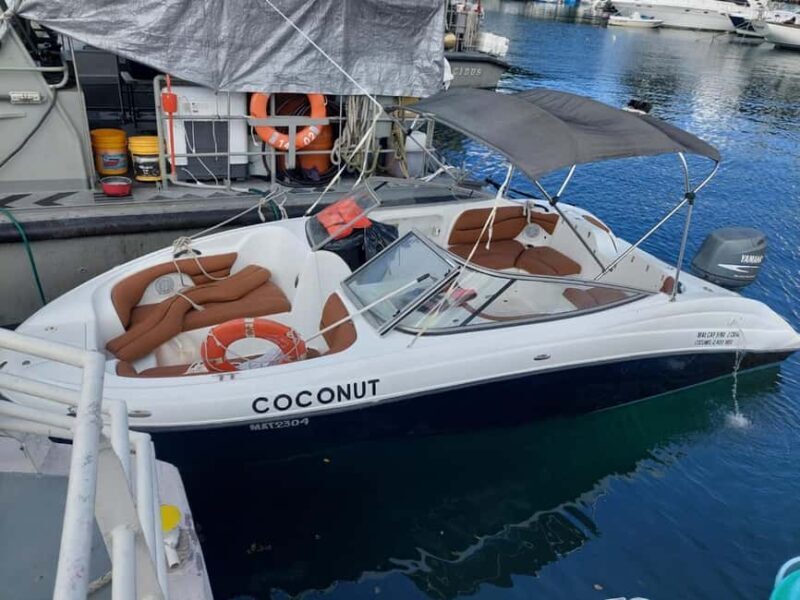 Cozumel: El Cielo & Reef Private Boat Tour with Snacks - What Makes This Tour Stand Out?