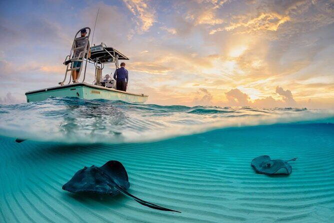 Cozumel El Cielo Tour! Palancar & Colombia Reef from Cancun - Key Points