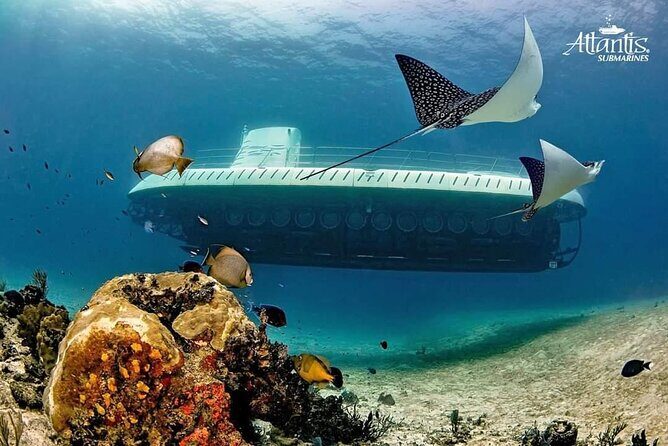 Cozumel EN Submarine Tour from Cancun or Playa del Carmen - Discovering the Cozumel EN Submarine Tour from Cancun or Playa del Carmen