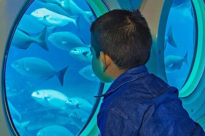 Cozumel EN Submarine Tour from Cancun or Playa del Carmen - FAQ