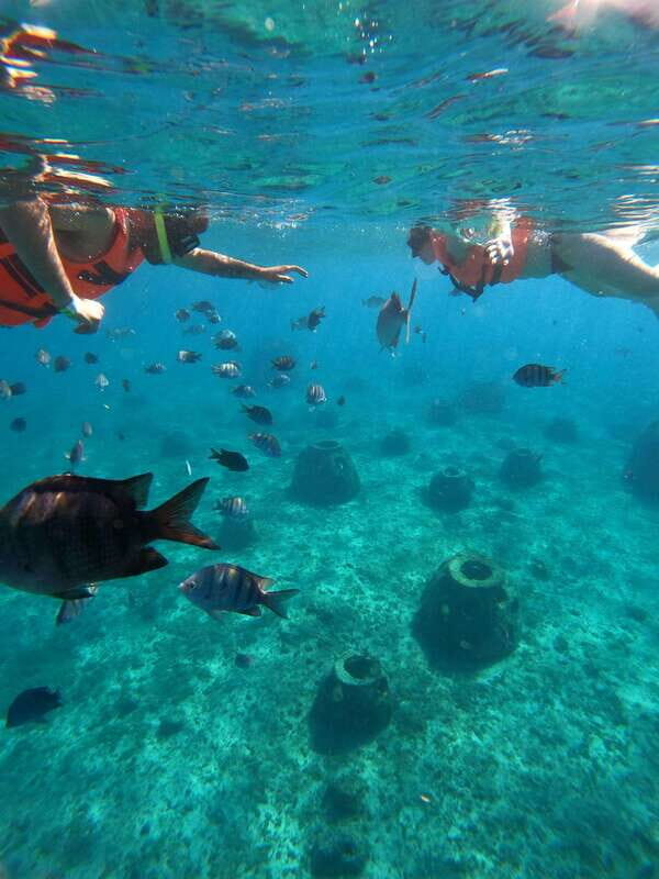 Cozumel: Excursion Crystal Boat Tour with Snorkel & Drinks - Who Should Consider This Tour?