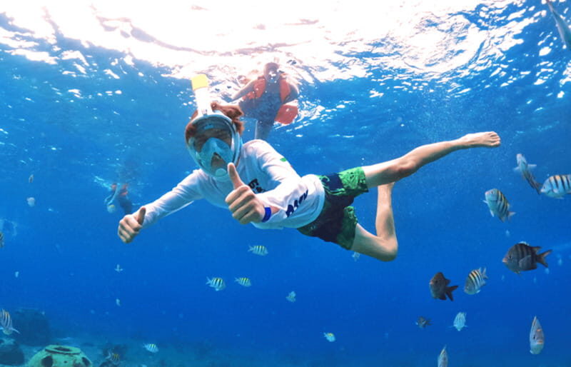 Cozumel: Excursion Crystal Boat Tour with Snorkel & Drinks - The Sum Up