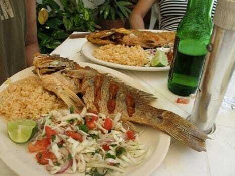 Cozumel Food Tour - Who Should Consider This Tour?